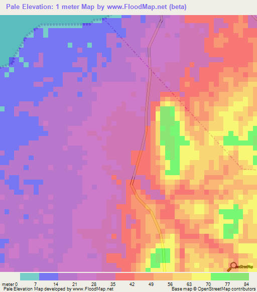 Pale,Tanzania Elevation Map