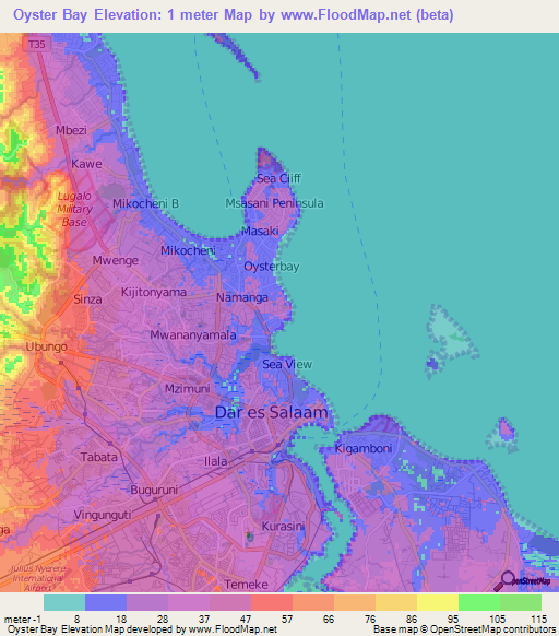 Oyster Bay,Tanzania Elevation Map