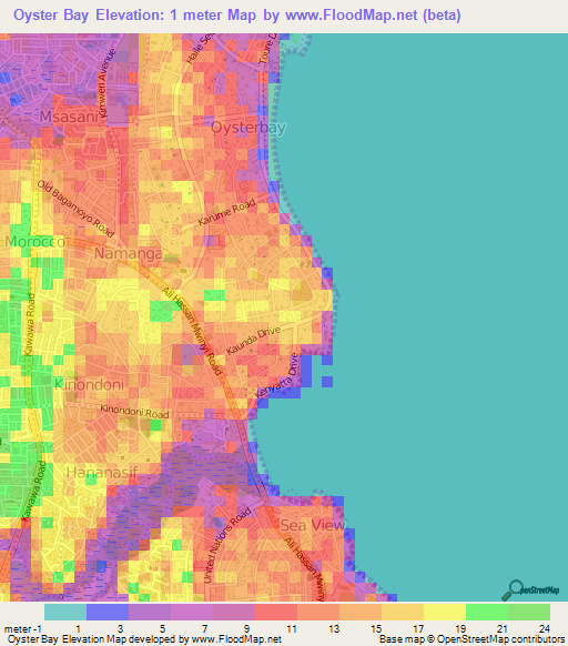 Oyster Bay,Tanzania Elevation Map