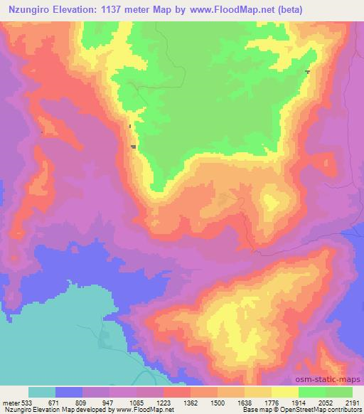 Nzungiro,Tanzania Elevation Map