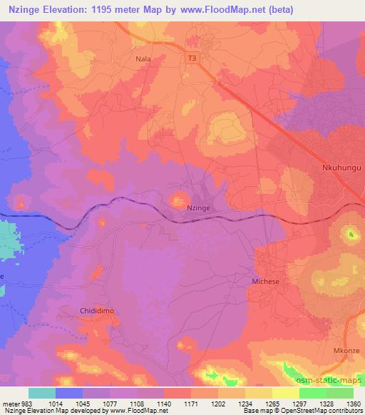 Nzinge,Tanzania Elevation Map