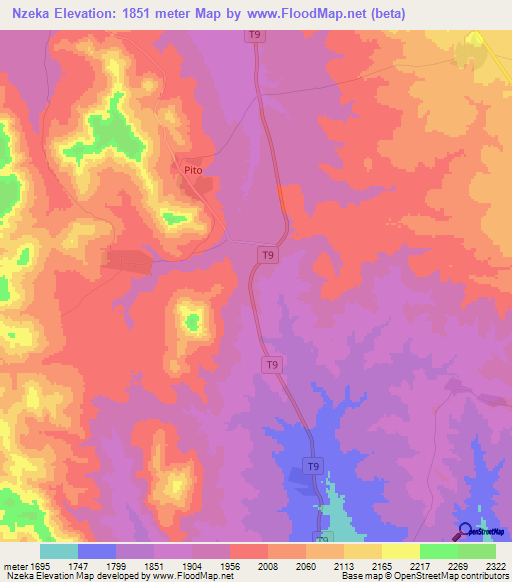 Nzeka,Tanzania Elevation Map