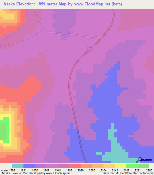 Nzeka,Tanzania Elevation Map