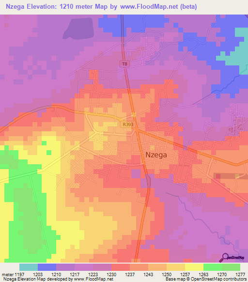 Nzega,Tanzania Elevation Map