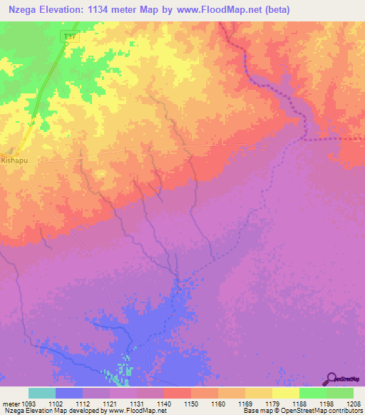 Nzega,Tanzania Elevation Map