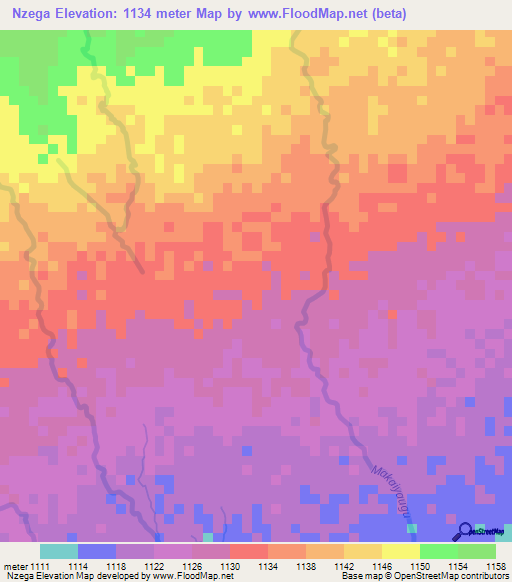 Nzega,Tanzania Elevation Map