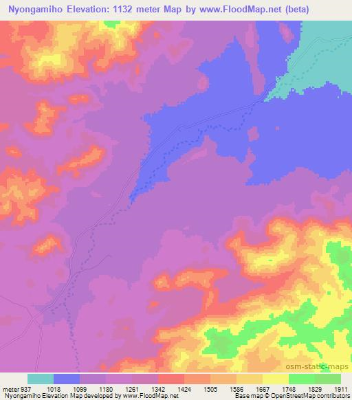 Nyongamiho,Tanzania Elevation Map