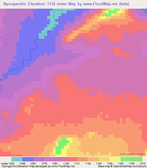 Nyongamiho,Tanzania Elevation Map