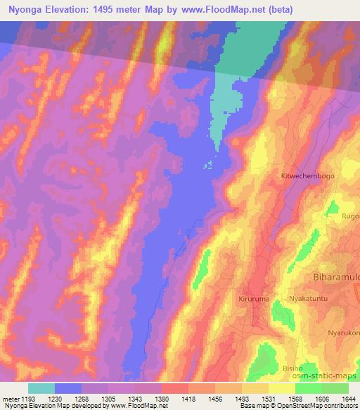 Nyonga,Tanzania Elevation Map