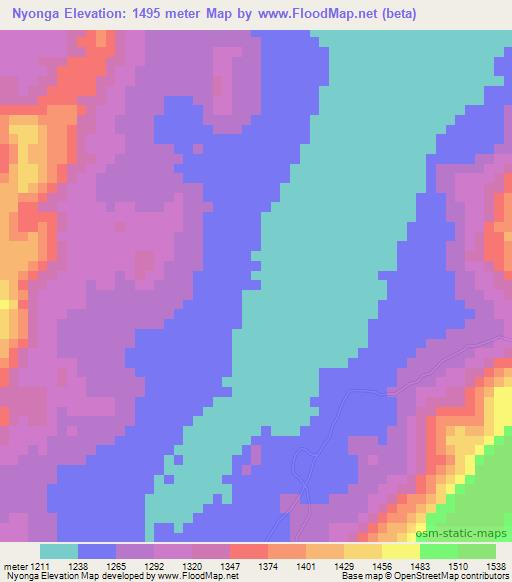 Nyonga,Tanzania Elevation Map