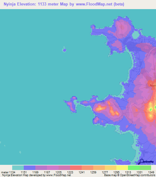 Nyinja,Tanzania Elevation Map