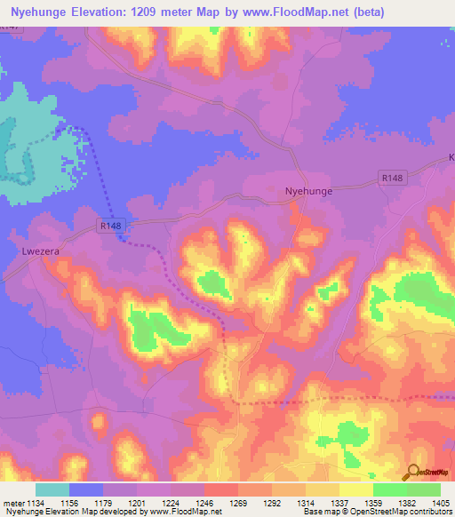 Nyehunge,Tanzania Elevation Map