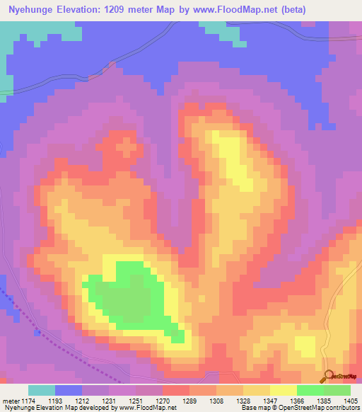 Nyehunge,Tanzania Elevation Map