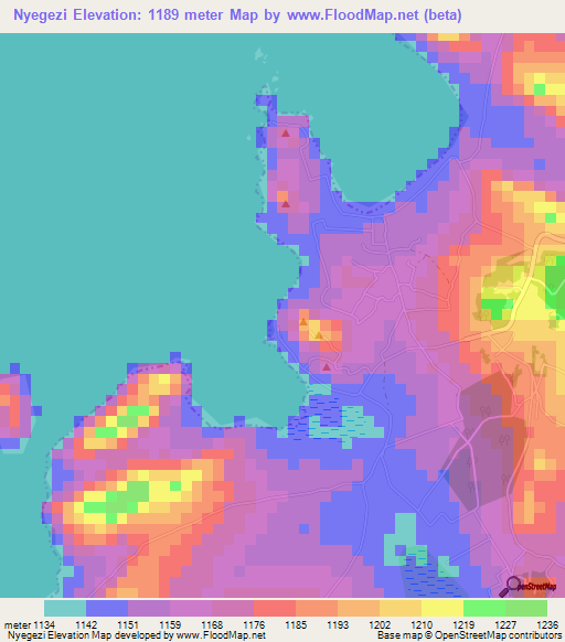 Nyegezi,Tanzania Elevation Map