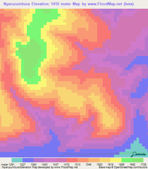 Nyaruzumbura,Tanzania Elevation Map