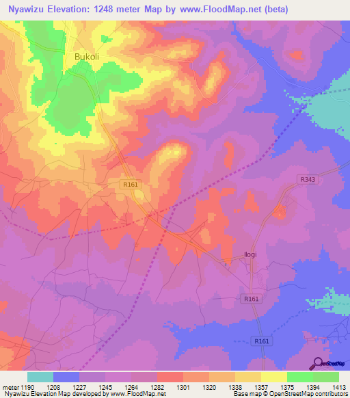 Nyawizu,Tanzania Elevation Map