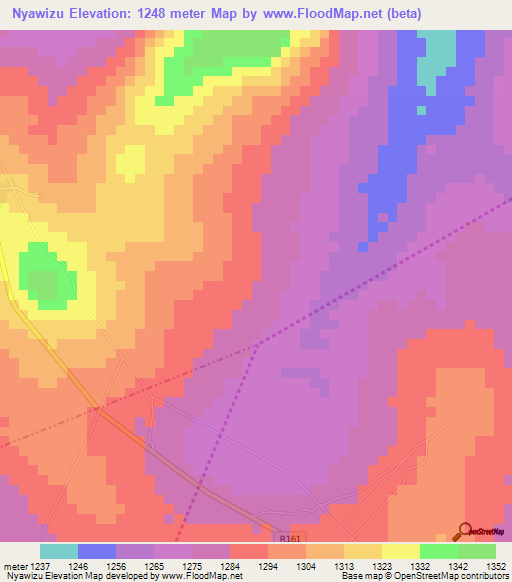 Nyawizu,Tanzania Elevation Map