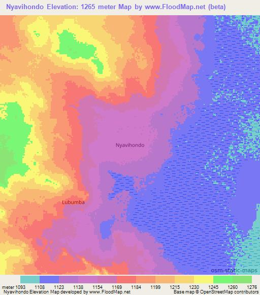 Nyavihondo,Tanzania Elevation Map