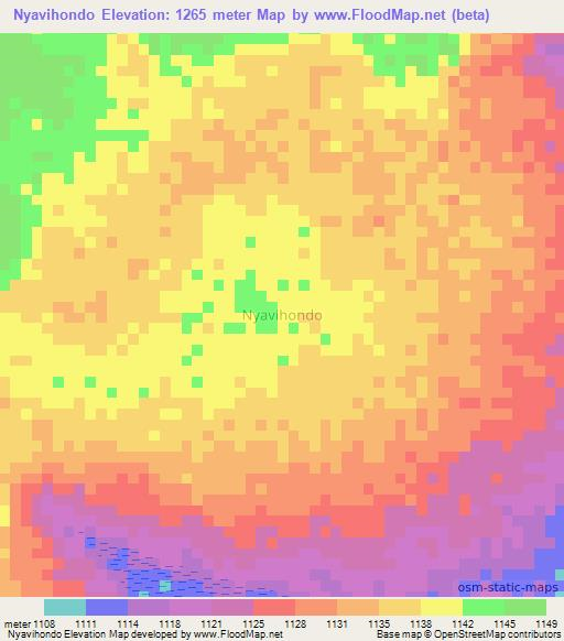 Nyavihondo,Tanzania Elevation Map