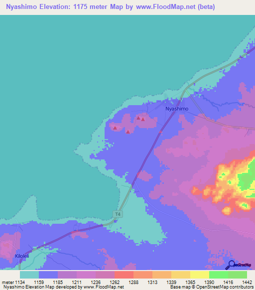 Nyashimo,Tanzania Elevation Map