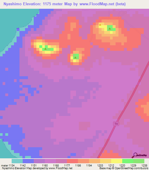 Nyashimo,Tanzania Elevation Map