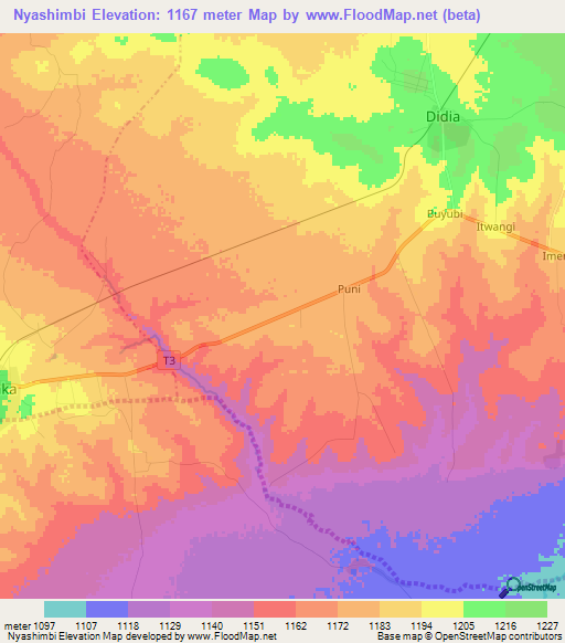 Nyashimbi,Tanzania Elevation Map