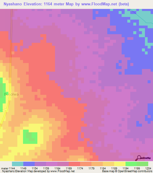 Nyashano,Tanzania Elevation Map