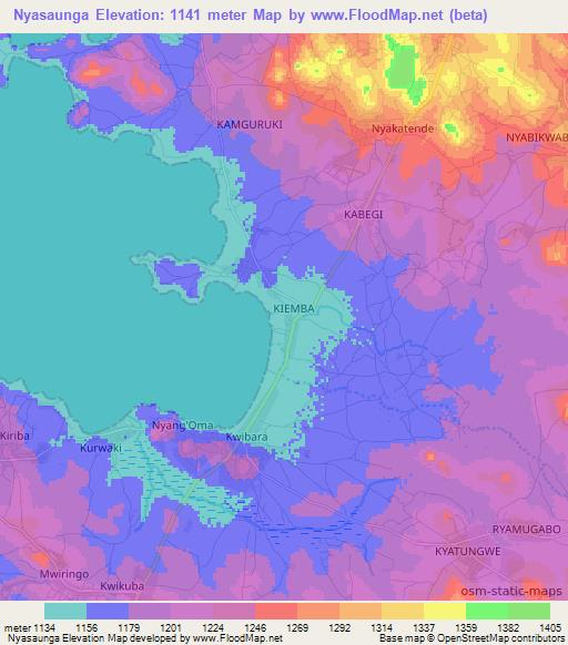 Nyasaunga,Tanzania Elevation Map