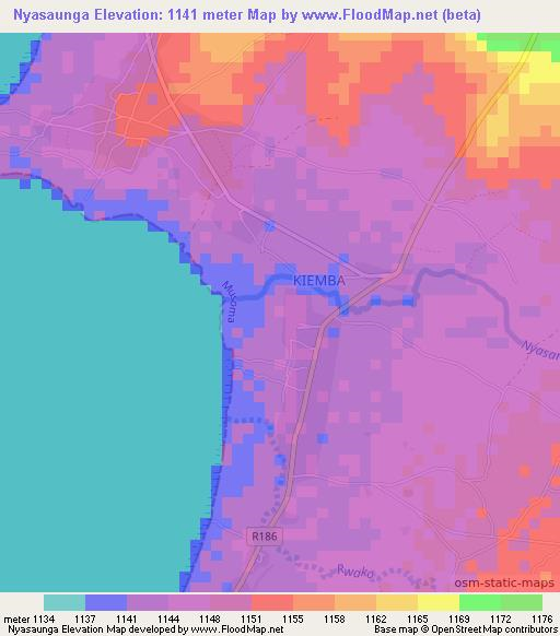 Nyasaunga,Tanzania Elevation Map