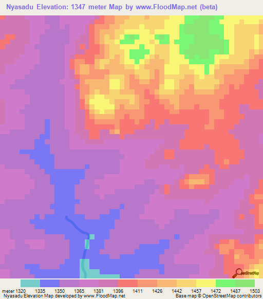 Nyasadu,Tanzania Elevation Map