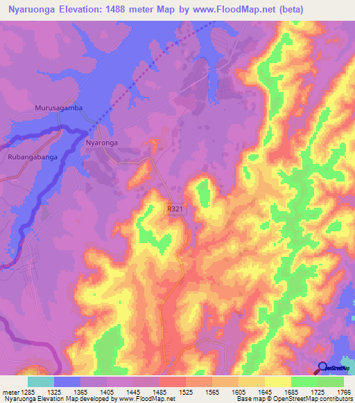 Nyaruonga,Tanzania Elevation Map