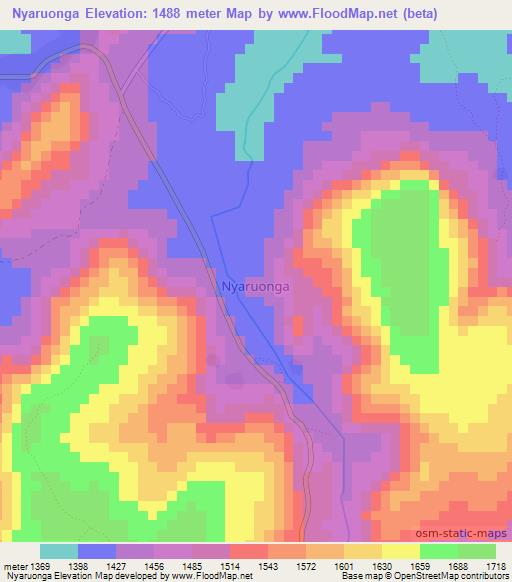 Nyaruonga,Tanzania Elevation Map