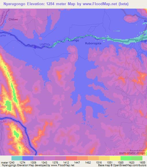 Nyarugongo,Tanzania Elevation Map