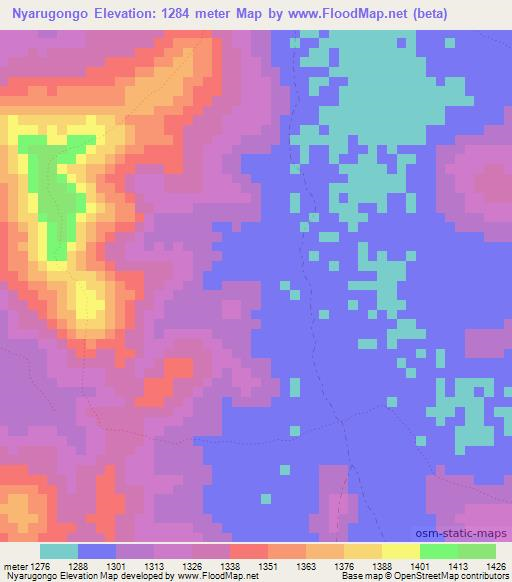 Nyarugongo,Tanzania Elevation Map