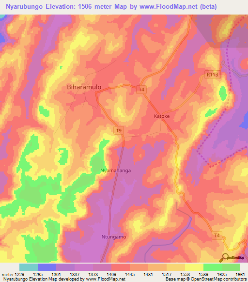 Nyarubungo,Tanzania Elevation Map