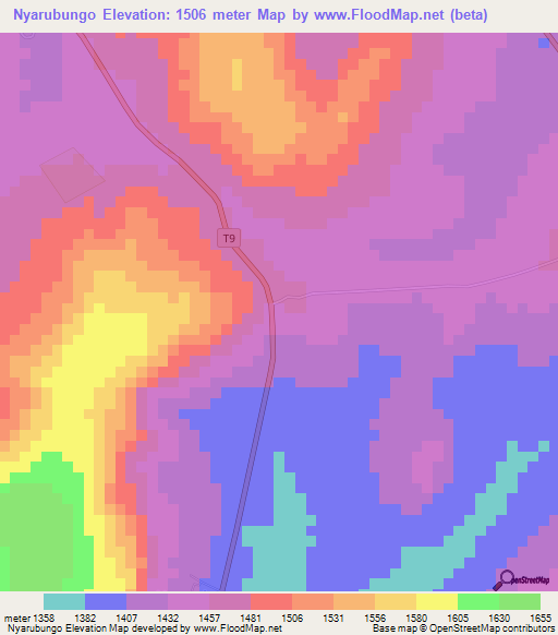 Nyarubungo,Tanzania Elevation Map