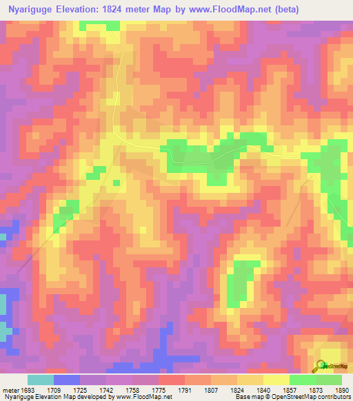 Nyariguge,Tanzania Elevation Map