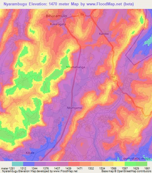 Nyarambugu,Tanzania Elevation Map