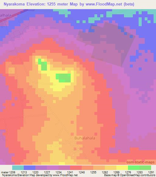 Nyarakoma,Tanzania Elevation Map