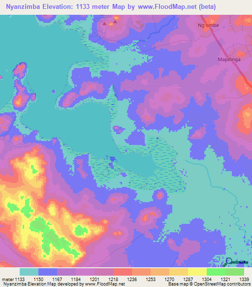 Nyanzimba,Tanzania Elevation Map