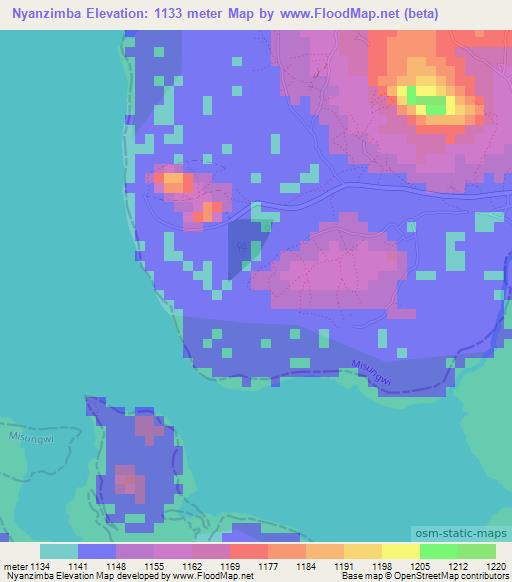 Nyanzimba,Tanzania Elevation Map