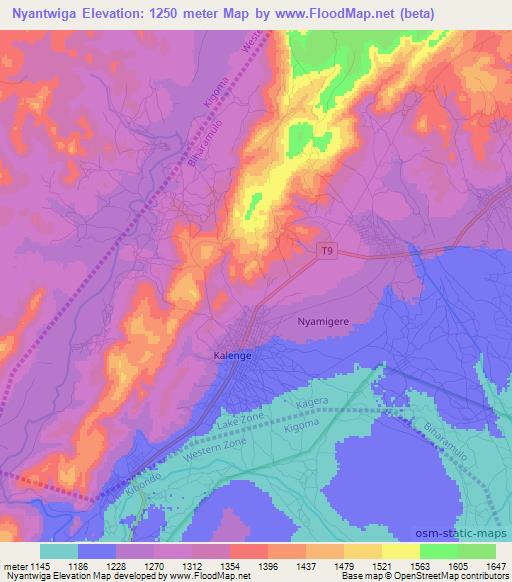 Nyantwiga,Tanzania Elevation Map