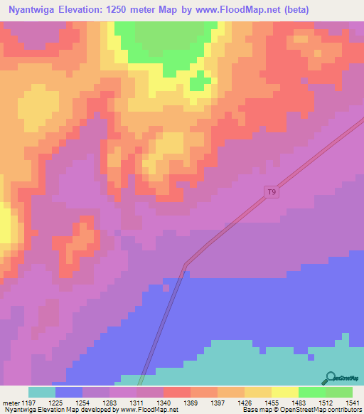 Nyantwiga,Tanzania Elevation Map