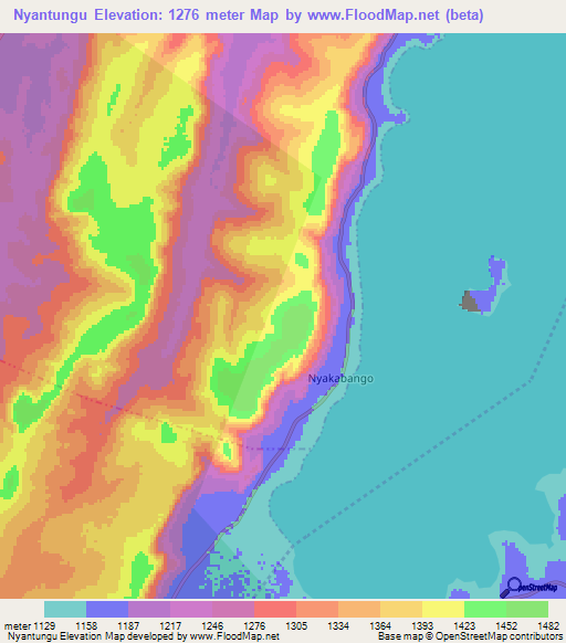 Nyantungu,Tanzania Elevation Map