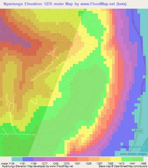 Nyantungu,Tanzania Elevation Map