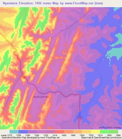 Nyantama,Tanzania Elevation Map