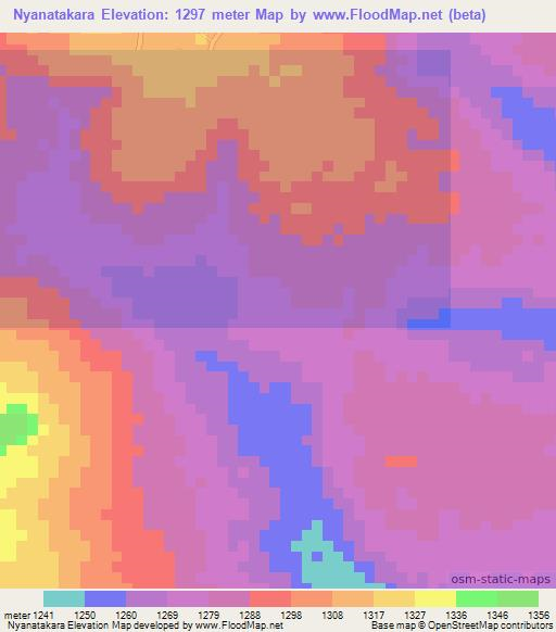 Nyanatakara,Tanzania Elevation Map