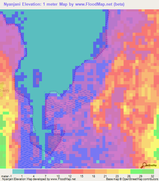 Nyanjani,Tanzania Elevation Map