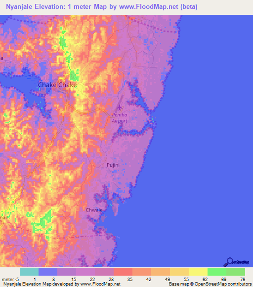 Nyanjale,Tanzania Elevation Map