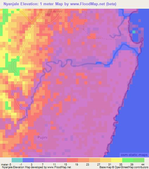 Nyanjale,Tanzania Elevation Map